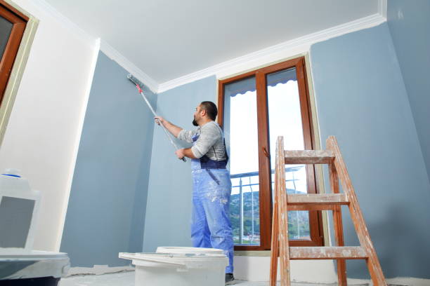 Best Stucco Painting  in Depew, NY